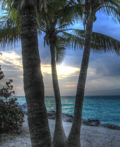 Smathers Beach Sunrise Vertical 2