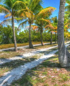 Sandy Trail