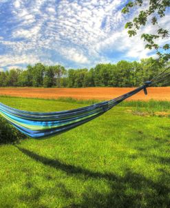 Hammock and Sky