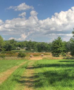 Farm Field