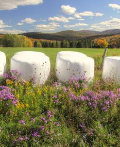 White Hay Bales