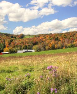 Nestled Barns in Fall