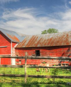 Red Barn and Donkey