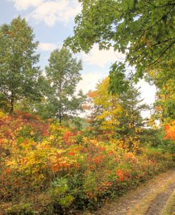 Autumn Path