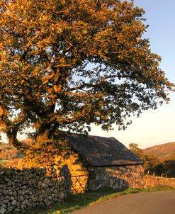 Bright Sunset Cottage Wales