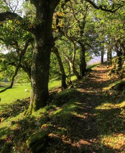 Shaded Path Wales