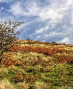 Wales Hillside and Sky