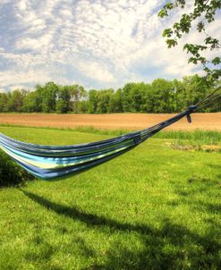 Summer Hammock