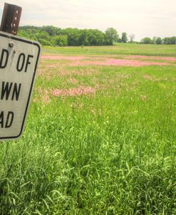 End Of Town Road Sign And Field