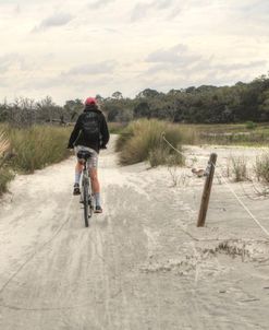 Lone Biker Jekyll Island