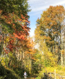 Lone Biker on Autumn Rail Trail