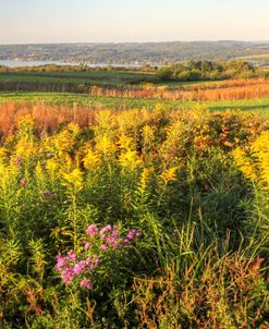 Finger Lakes Autumn