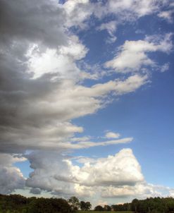 Vertical Field and Sky