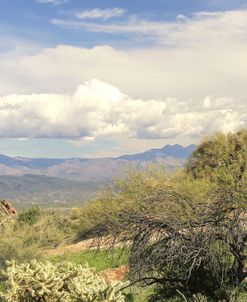 Desert Panorama 1