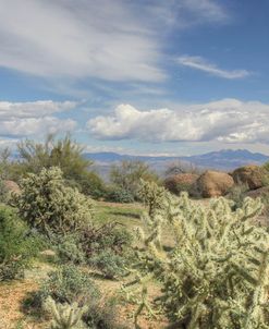 Desert Panorama 2