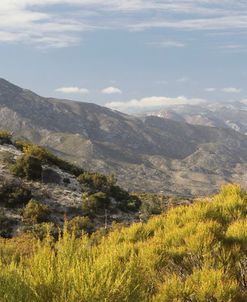 Mt San Jacinto Panorama