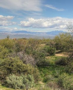 Desert Panorama 3