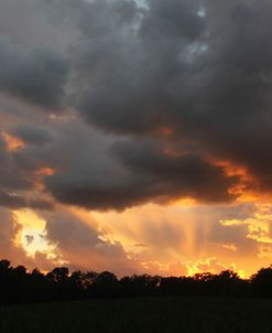 Sunset Panorama