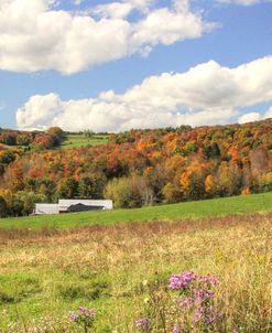 Autumn Barns Panorama