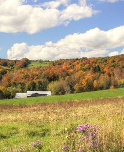 Autumn Barns Panorama