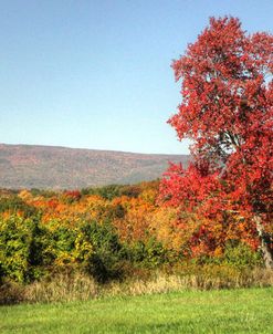 Sam’s Point Autumn