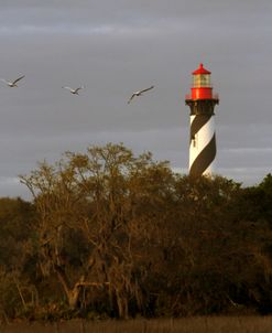 St Augustine Light