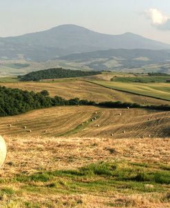Tuscany Panorama 4