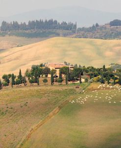 Tuscany Panorama 6