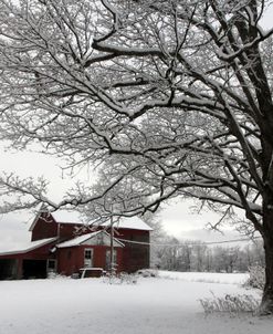 Red Barn And Snow