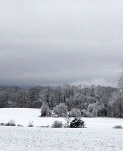 White Barn And Snow Panorama