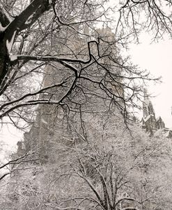 St John the Divine NYC