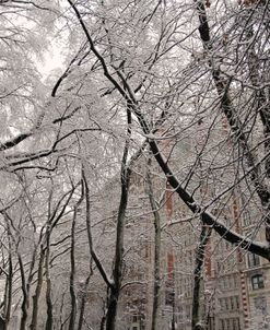 77th Street