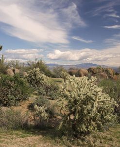 Desert Sky 3
