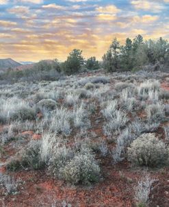 Sedona Sunset 2