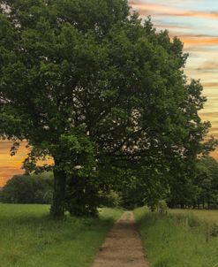 Midsummer Evening