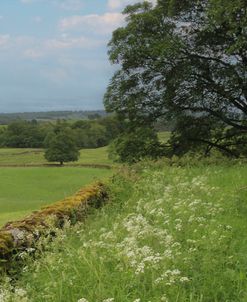 Near Crosthwaite Uk