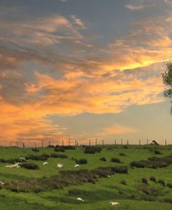 Near Hadrian’s Wall Uk