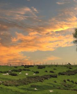 Near Hadrian’s Wall Uk