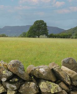 Troutbeck Uk