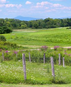 Pasture and Mountain Vertical
