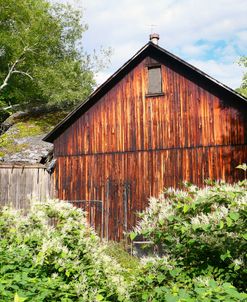 Delaware County Barn