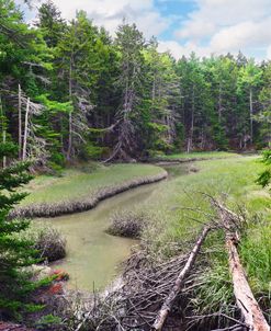 Near Harpswell Maine