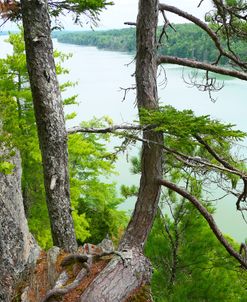 Cliff Trail Maine