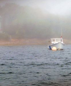 Foggy Morning