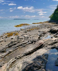 Wolfe’s Neck Woods Maine
