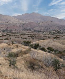 Oak Tree Canyon Arizona 2