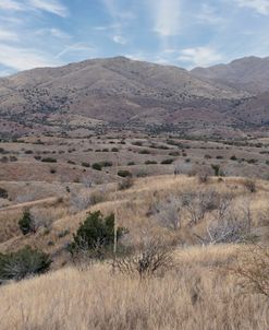 Oak Tree Canyon Arizona 3