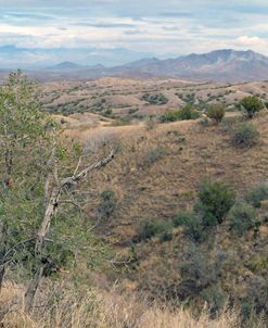 Oak Tree Canyon Arizona 4
