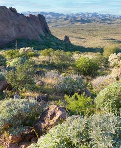 Bulldog Canyon From Praying Hands