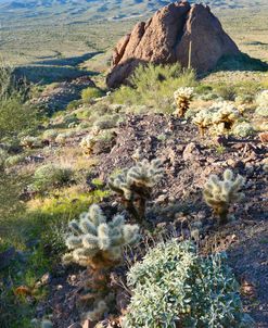 Bulldog Canyon Vertical